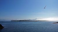 Breidafjördur baai in de mist van Aagje de Jong thumbnail