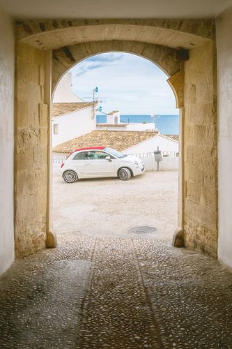 Ich liebe meinen Fiat 500 von Frans Nijland