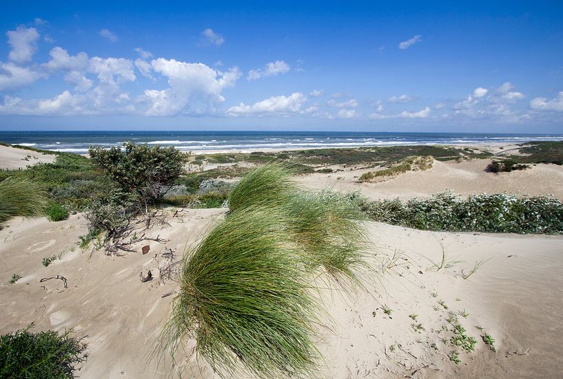 North Sea Coast by Jan Kranendonk