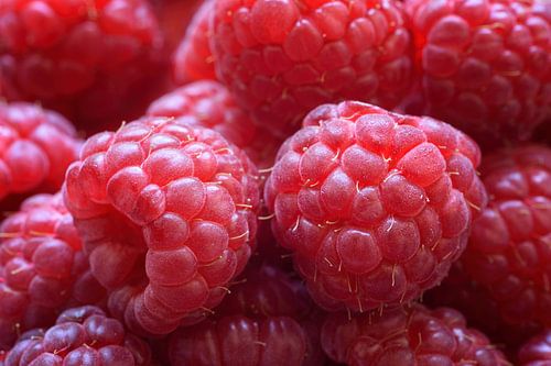 Raspberry dreams