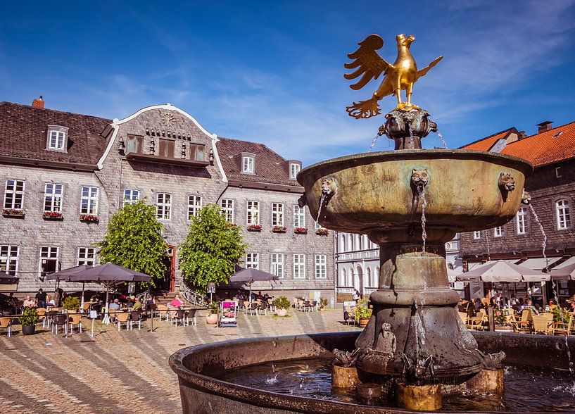 Fontein in Goslar op de markt van Animaflora PicsStock