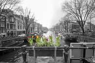 Frühling ist in der Luft von Foto Amsterdam/ Peter Bartelings Miniaturansicht