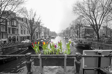 Spring is in the air in Amsterdam