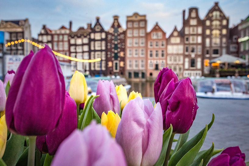 Amsterdam by Milan Markovic
