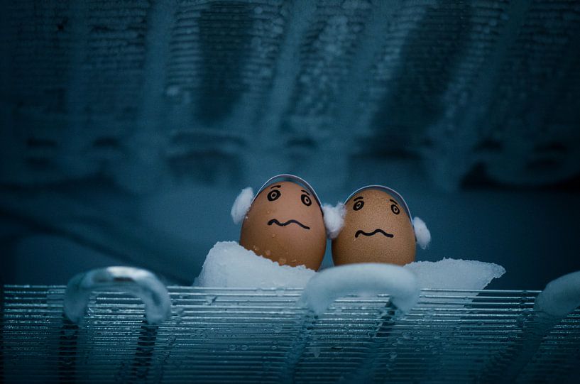 Baby it's cold! by Gerben van den Hazel