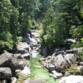 Yakushima van Isjah Koppejan
