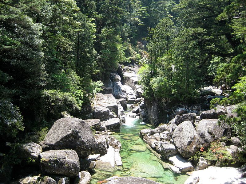 Yakushima by Isjah Koppejan