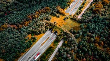 Ecoduct A50 van FinePixel