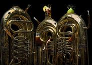 Tuba libre von Olaf Bruhn Miniaturansicht