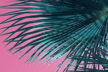 Palmbladeren en roze lucht, zomer op het strand van Adriana Mueller