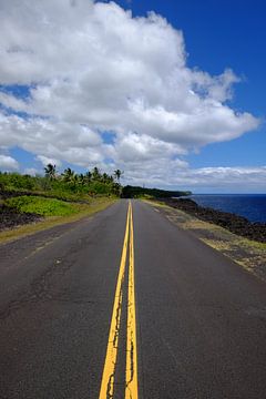 Op weg op Hawaii