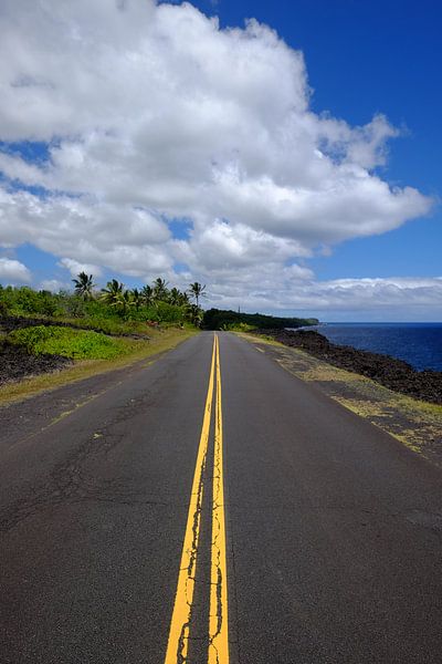 Op weg op Hawaii van Frank Roelofs