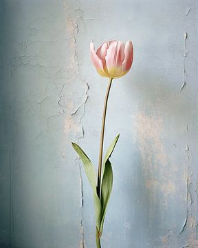 Pink tulip in wabi-sabi style by Studio Allee