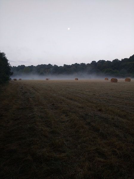 De laaste nacht van een kampeerveld met mistige Hooibalen von Veluws