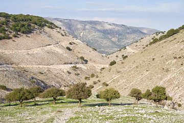 Landscape Kefalonia Greece 1 by Cor de Hamer