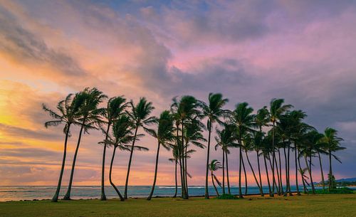 Zonsopkomst Kapaa Beach Park, Kauai, Hawaii