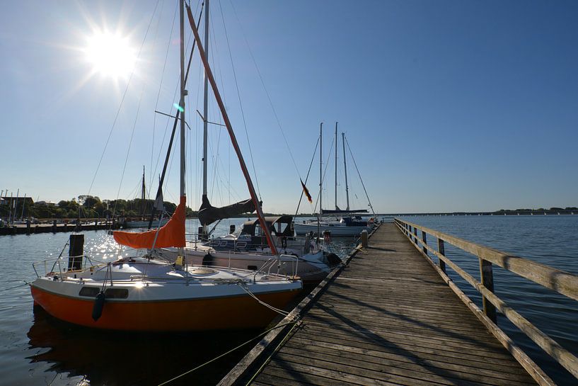 Motorboote &amp; Segelschiffe im Hafen Altefähr von GH Foto & Artdesign