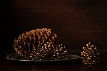 Pommes de pin sur un plat en fer blanc sur Irene Ruysch