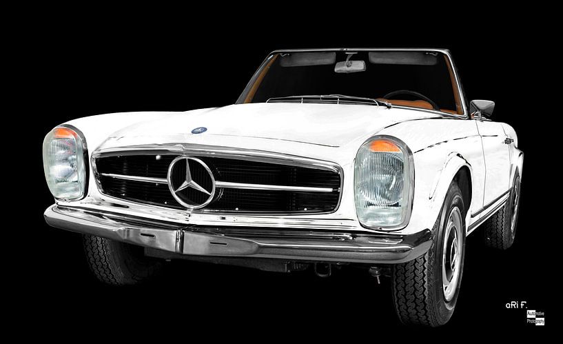 Mercedes-Benz W 113 SL-Pagoda by aRi F. Huber