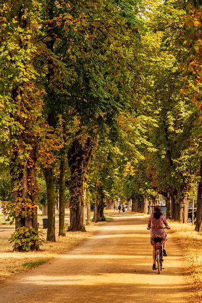 Radfahrerin in Allee von Dieter Walther