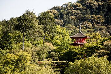 Toren in het groene Japanse landschap.