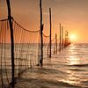 Teso Texel at dawn by John Leeninga