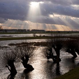 Lek, water & licht 6 van Gerard Streng