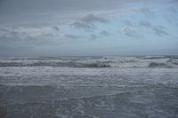 vagues