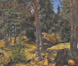 Gottfrid Samuel Nickolaus Kallsteniüs (suédois, 1861-1943)~A Fir Bank