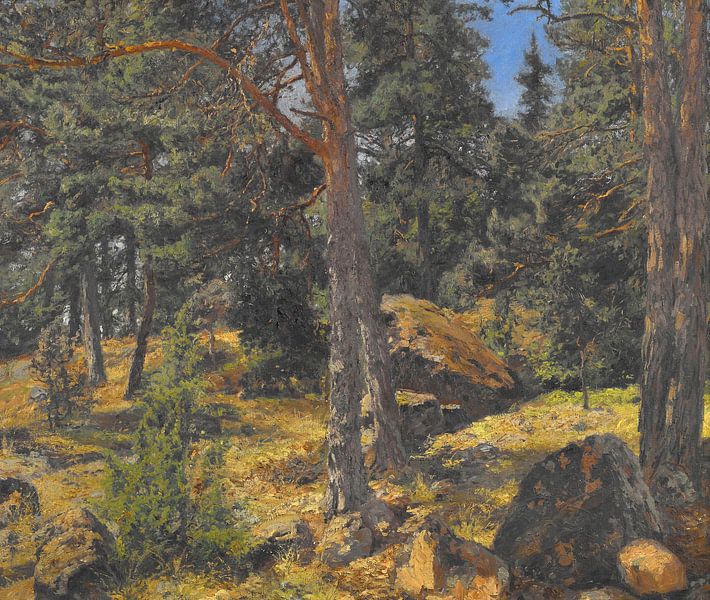 Gottfrid Samuel Nickolaus Kallsteniüs (Swedish, 1861-1943)~Een Fir Bank van finemasterpiece