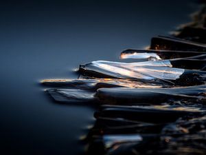 Iced sunrise