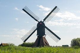 Molenland Goudriaan van Richard Wareham