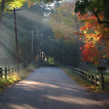 Country Road