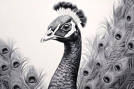 Black-and-white peacock drawing by Art & Soul Creations