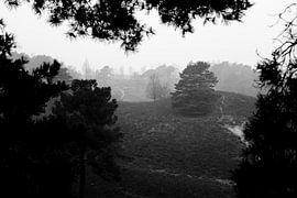 nooit uitzichtloos by Joyce Pals