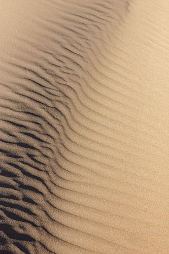 Ligne d'ombre dans le sable