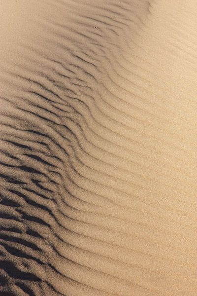 Sand 3 by Sigrid Olschinski