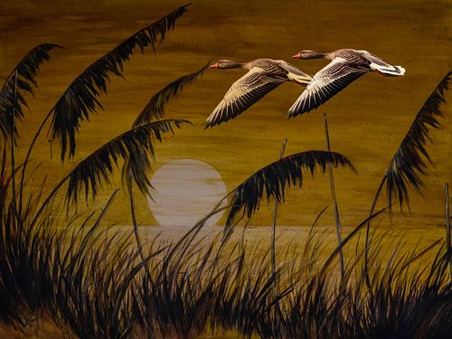 Wilde ganzen in de zonsondergang