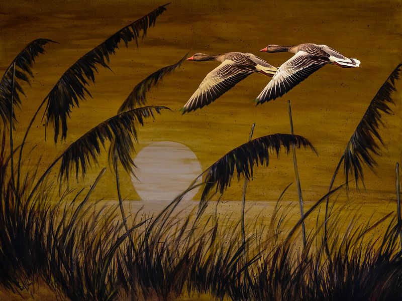 Les oies sauvages au coucher du soleil par Christine Nöhmeier