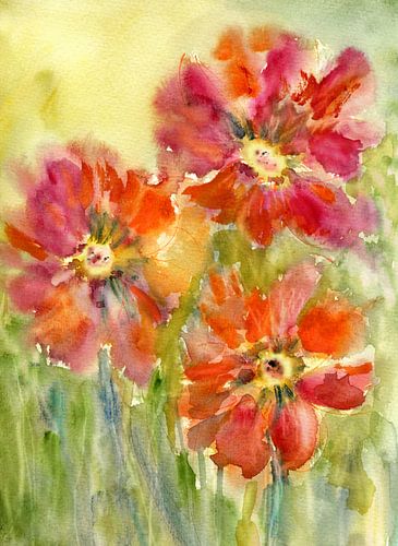 red gracile by Claudia Gründler