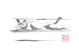 Katze auf der Treppe