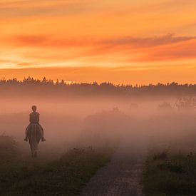 Cheval dans la brume sur la Veluwe au coucher du soleil sur Esther Wagensveld