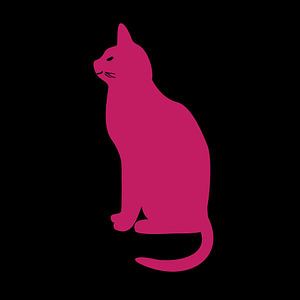 Rosa Katze auf schwarzem Hintergrund