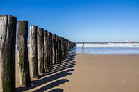 Beach posts