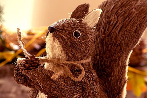 Penita and the pinecone