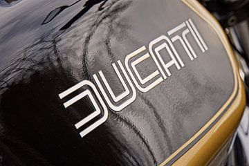 Ducati 900SD Darmah Tank Logo van Rob Boon