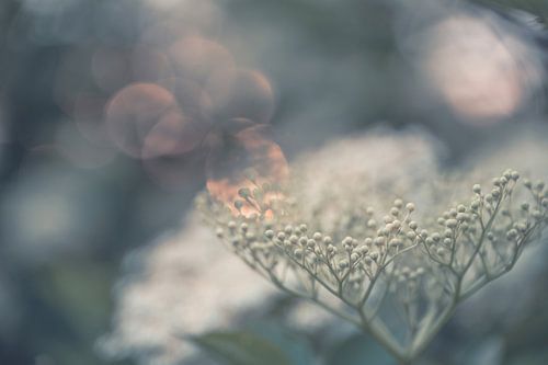 Park Lingezegen part 24