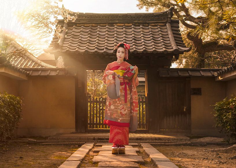 Zonnestralen op een Japanse Maiko in kimono. van Kuremo Kuremo