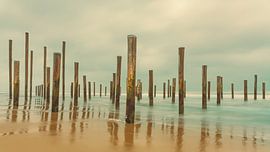 Palendorp Petten 4 von Marcel Kieffer