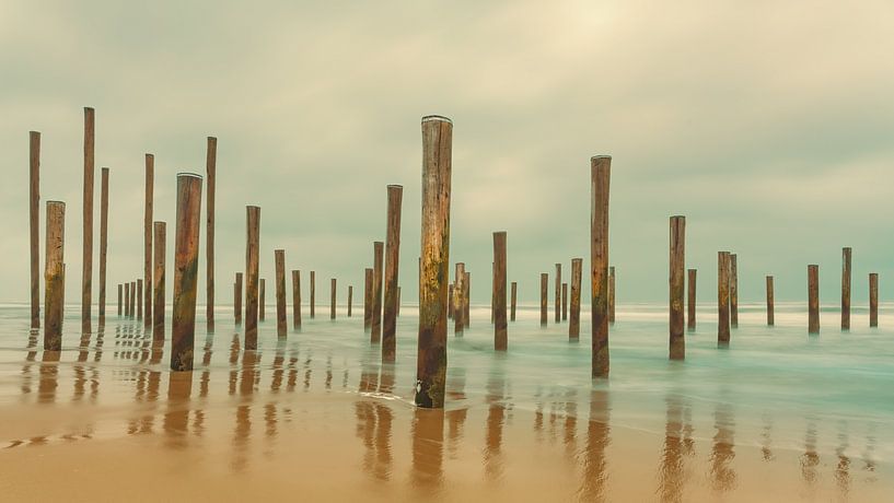 Palendorp Petten 4 by Marcel Kieffer